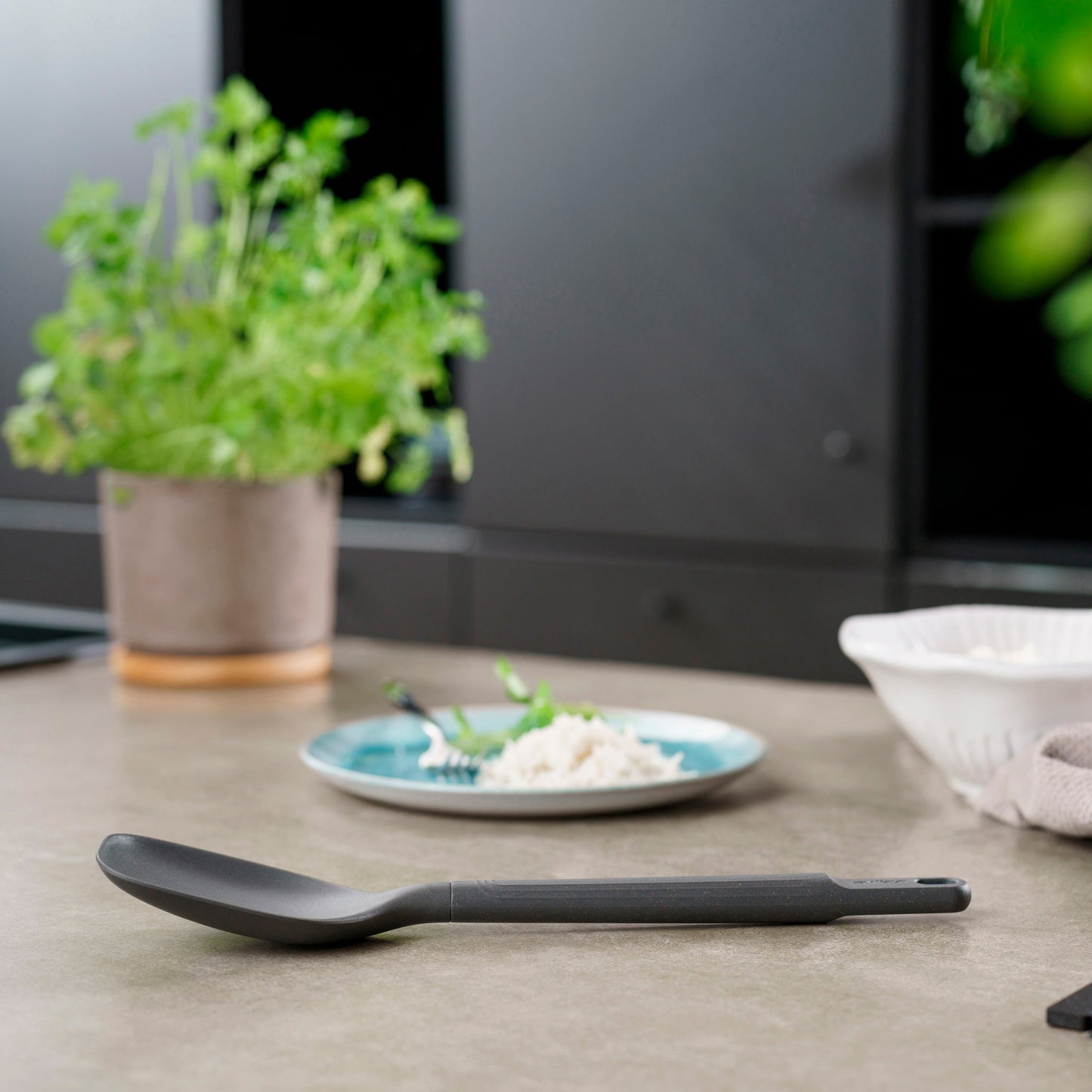 Zyliss Spoon